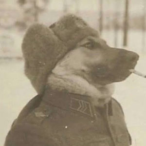 Meet your Posher, Jan